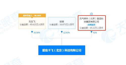 軟件開(kāi)發(fā) 從概念到實(shí)現(xiàn)的旅程